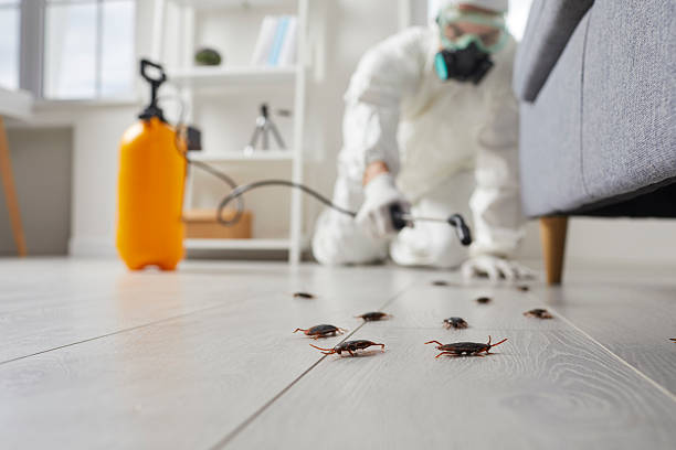 Trusted Termite Control service in Dover Beaches South, NJ - Nex Pest Control